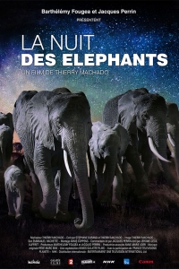 C_DVD_Nuit-elephants