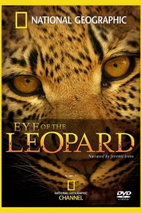 DVD_Joubert_Leopard