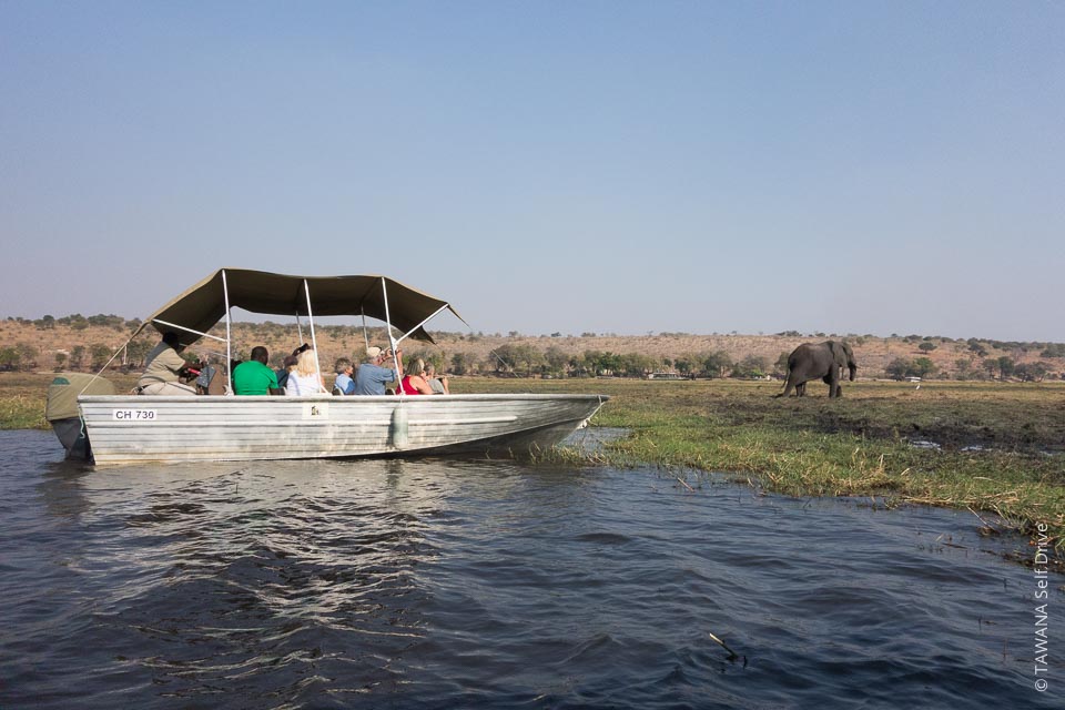 Visiter Chobe : croisière sur la rivière