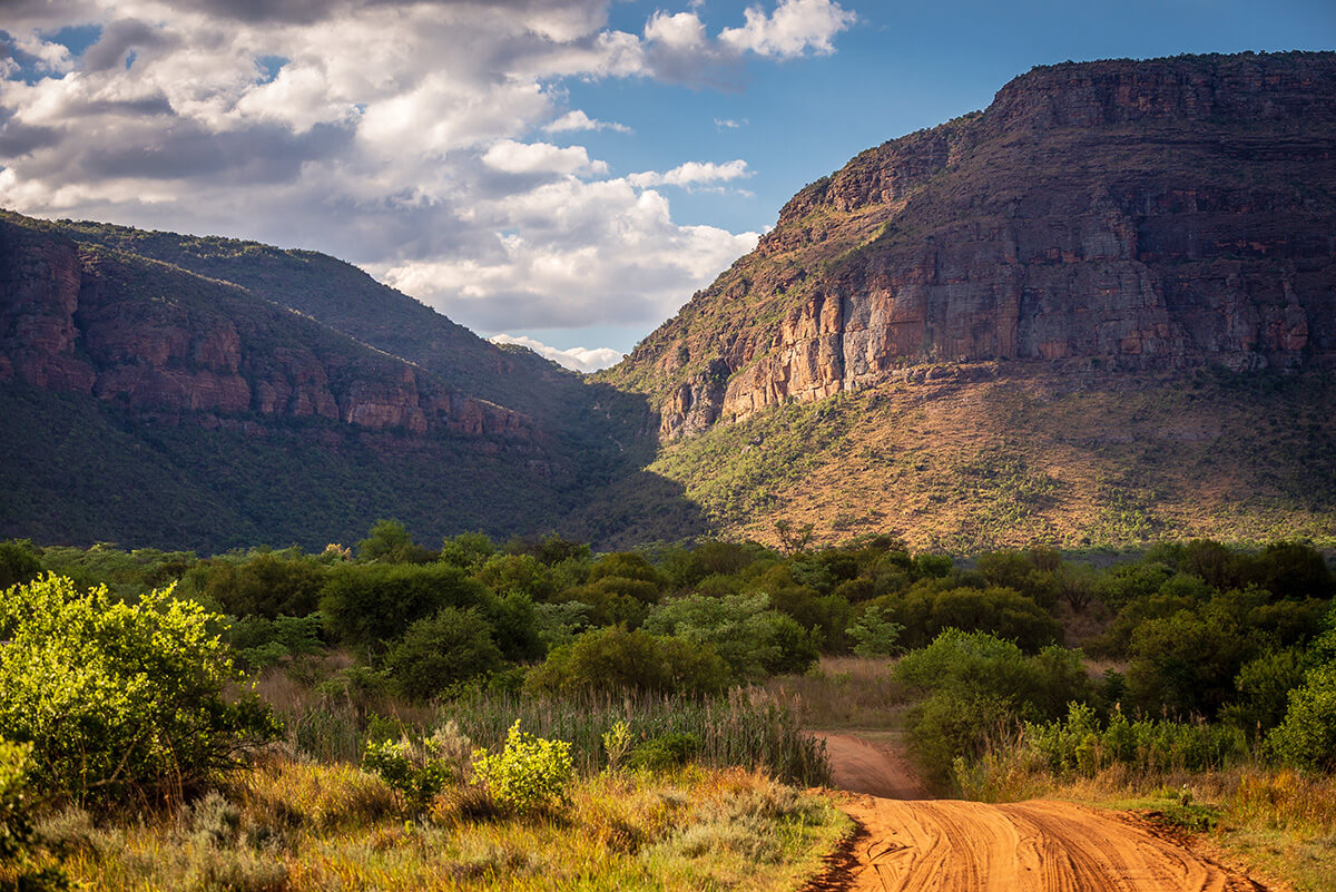 Itinéraire self-drive en Afrique du Sud : parc national de Marakele