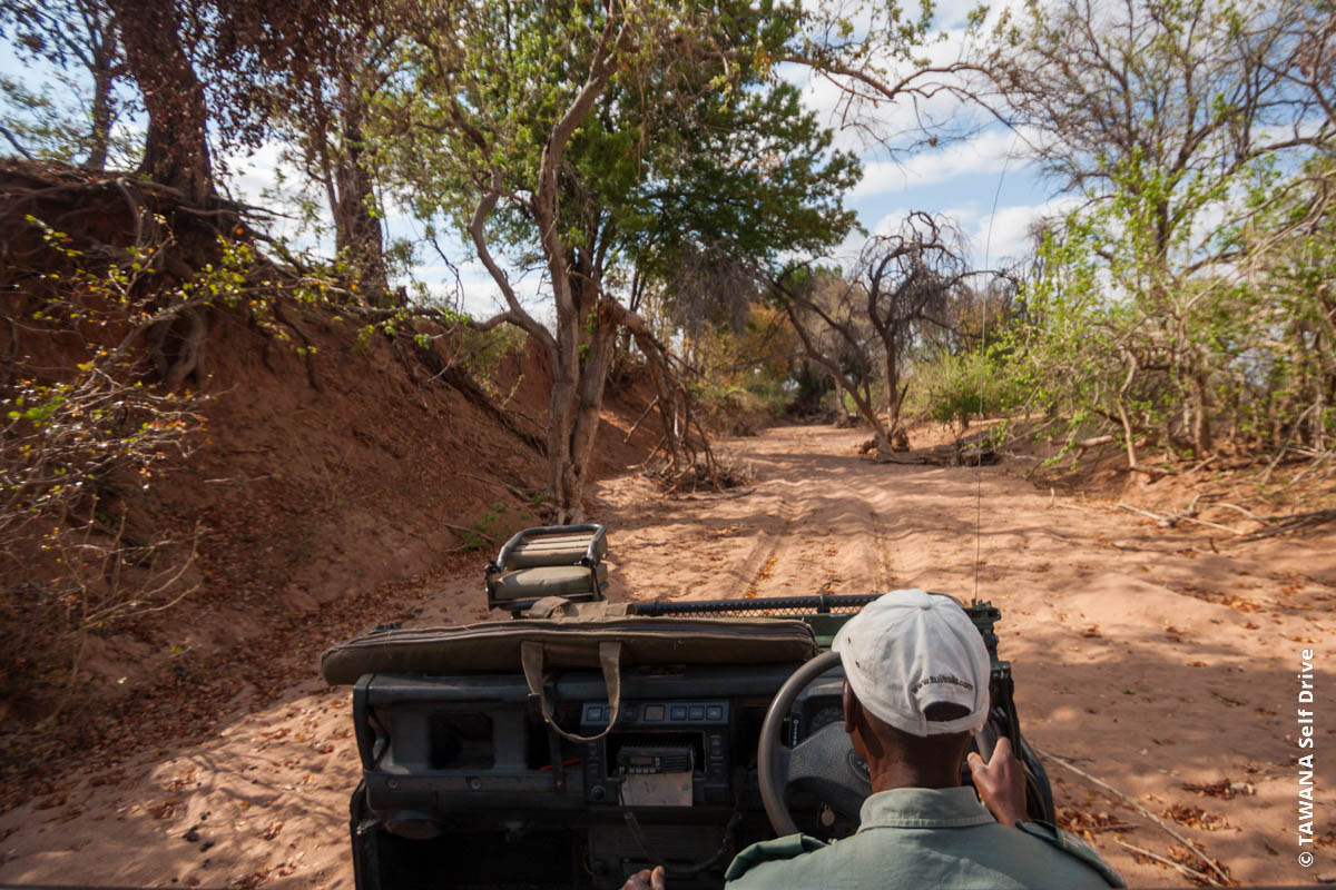 Game drive dans la réserve de Tuli Block, Botswana