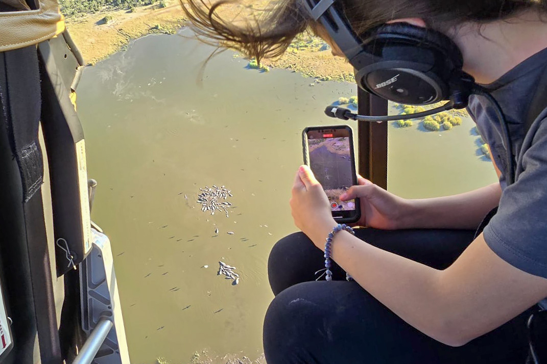 Survol panoramique du Delta de l'Okavango en hélicoptère