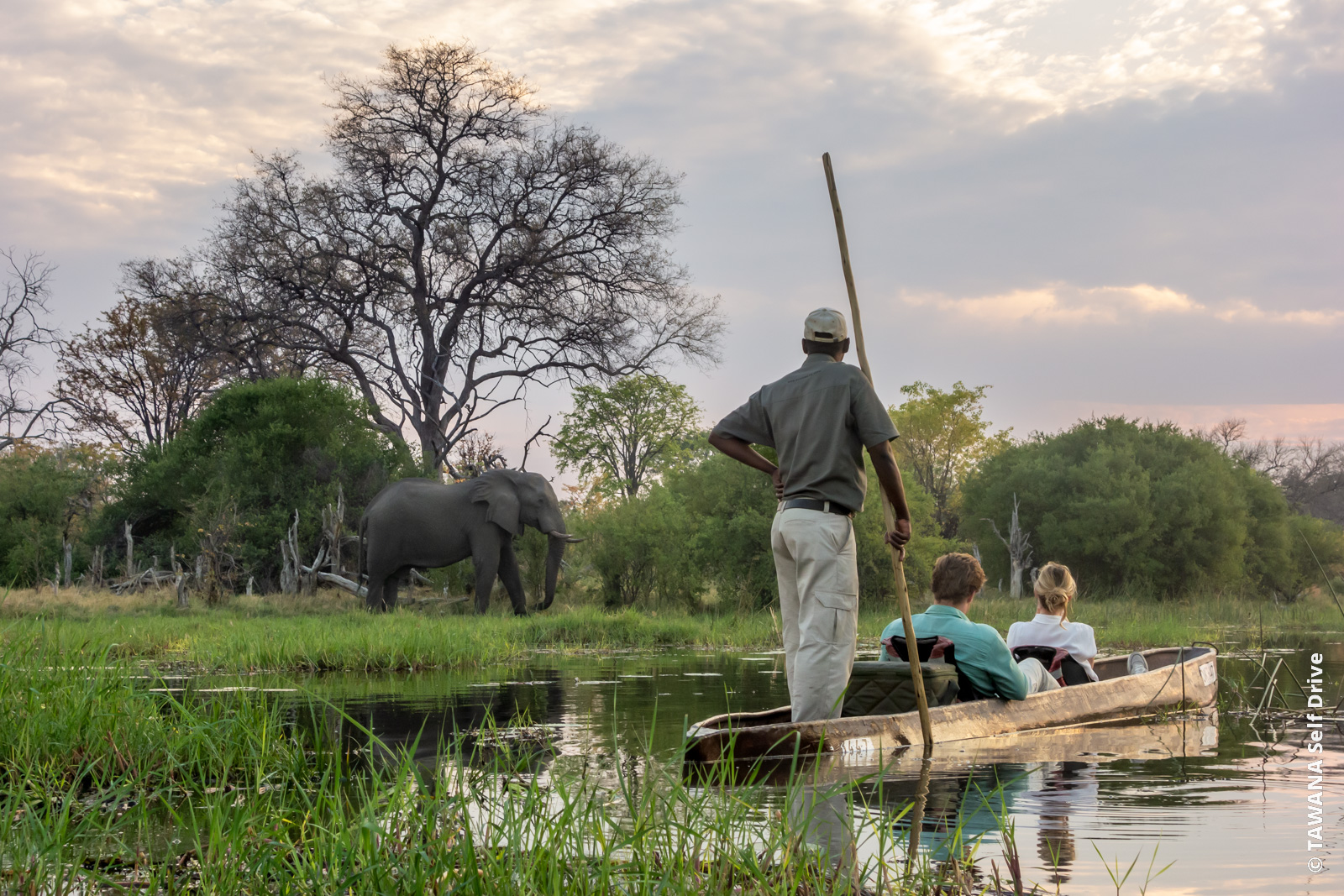 Safari en mokoro sur la rivière Mbudi, Botswana