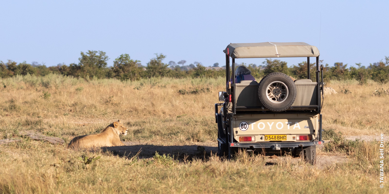 Game drive dans le parc national de Chobe, Botswana