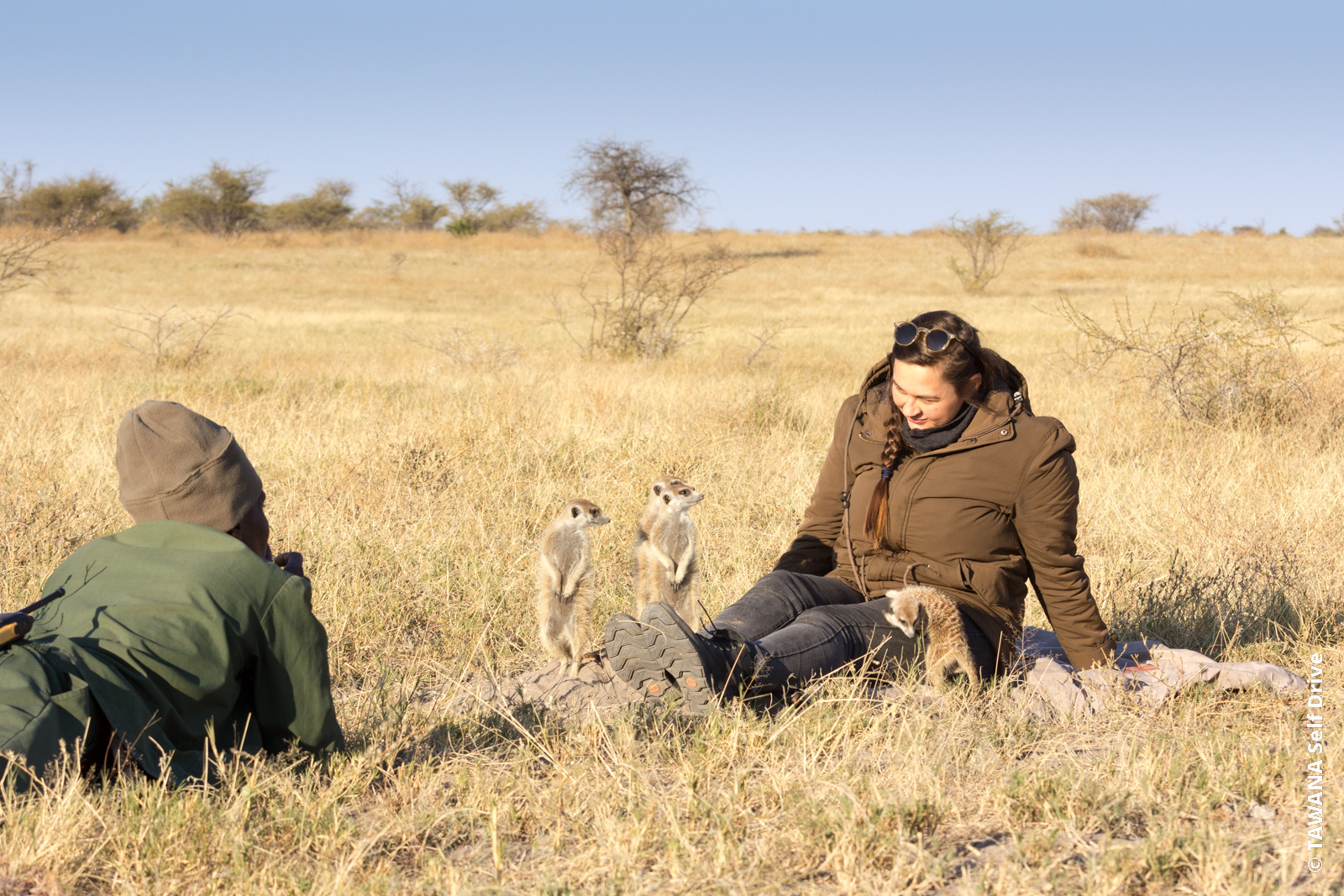 Rencontre avec les suricates, Ntwetwe Pan, Botswana