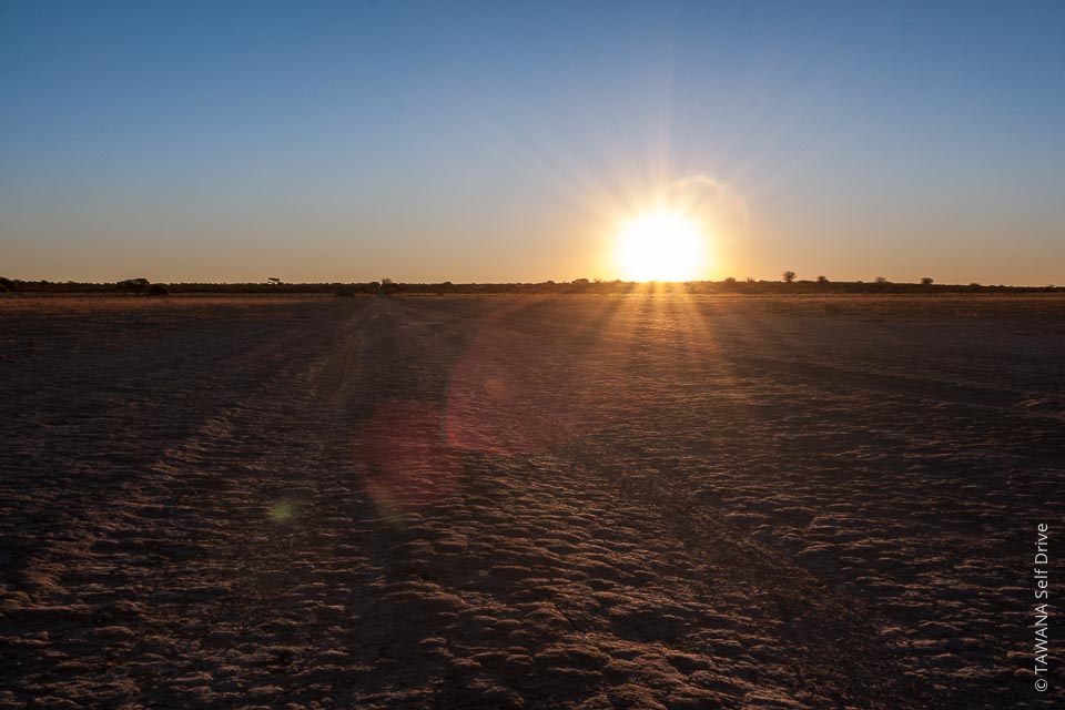 Désert du Kalahari, Botswana