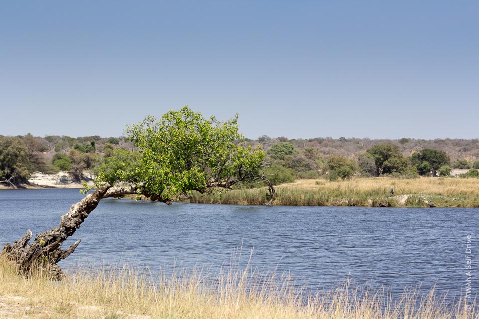 Rivière Chobe au Botswana