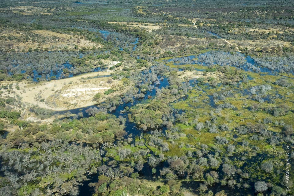 Delta de l'Okavango en crue